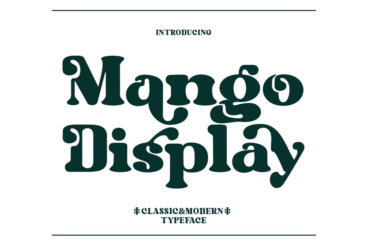 Mango Display, a Serif Font by MasaType (Photo 10 of 10)