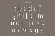 Ambrosia | Modern Serif, a Serif Font by Muntab_Art (Thumbnail 10 of 11)