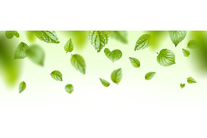 Fresh green mint leaves floating in, an Object Illustration by art PVP - market