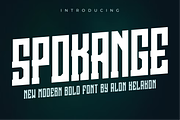 Spokange, a Serif Font by alon kelakon (Thumbnail 1 of 5)