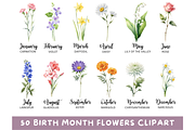 50 Watercolor Birth Month Flowers, a Decorative Illustration by Coral Beauty (Thumbnail 1 of 8)