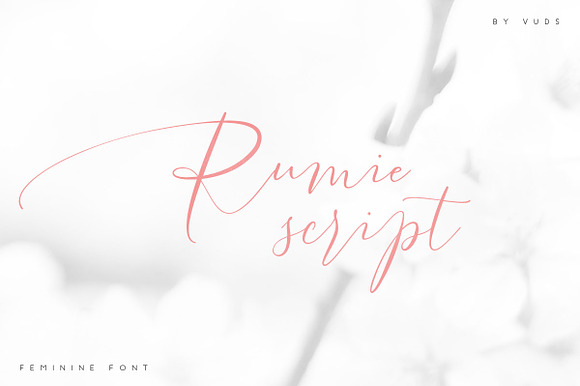 Rumie Script preview 8