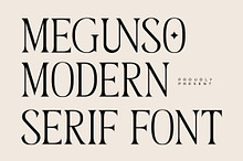 Megunso - Modern Serif Font