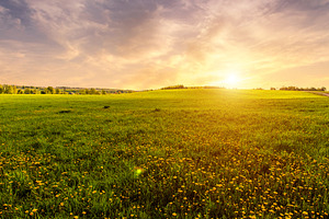 Bright vivid rural landscape at sunset, warm summer field with m, a Nature Photo by Eugene_Photo