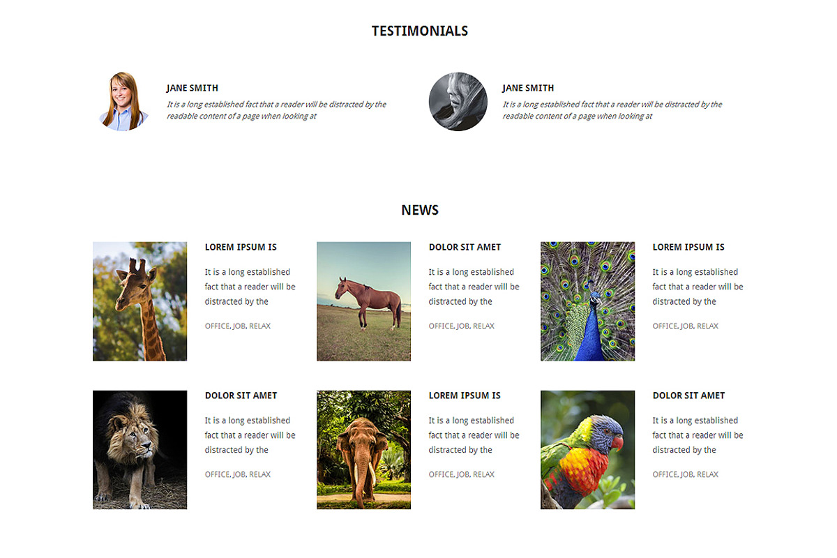 Zoo Responsive One Page Theme, a HTML Template by IceTemplates