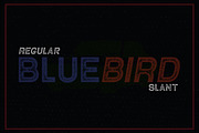 VT Contender - Vintage Display Font, a Sans Serif Font by ViactionType (Thumbnail 5 of 14)