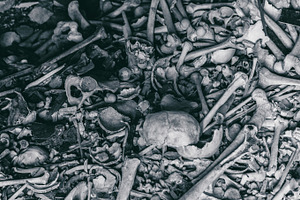 A lot of human bones