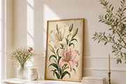 Vintage Pink Lily Wall Art, a Decorative Illustration by elfy creative (Thumbnail 4 of 5)