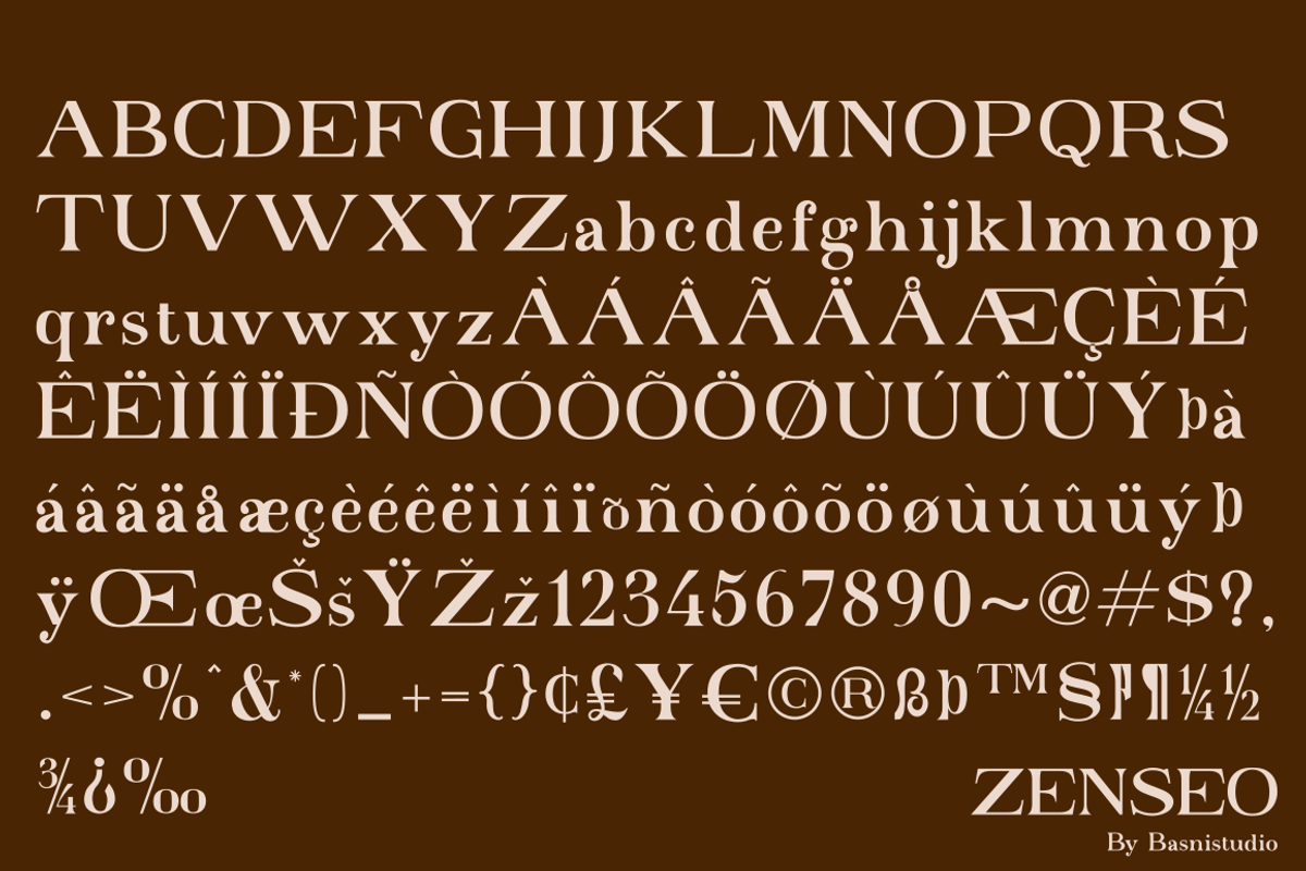 ZENSEO Clasic Serif Font, a Serif Font by Basnistudio (Photo 6 of 6)