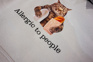 Funny cat design with food and humorous text on white background. Allergic to p, a Photo by AS photostudio