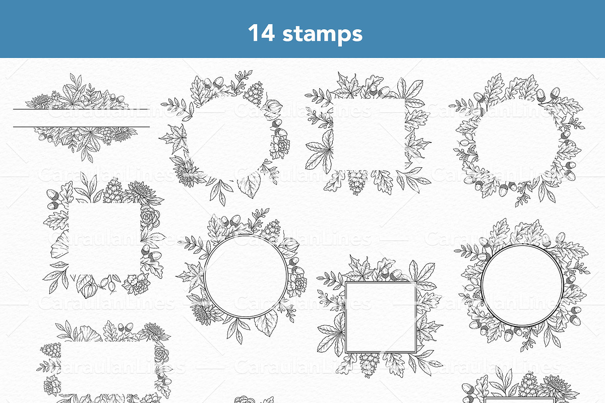Fall Foliage Procreate Stamps, a Brush Add-On by CaraulanStore (Photo 2 of 5)