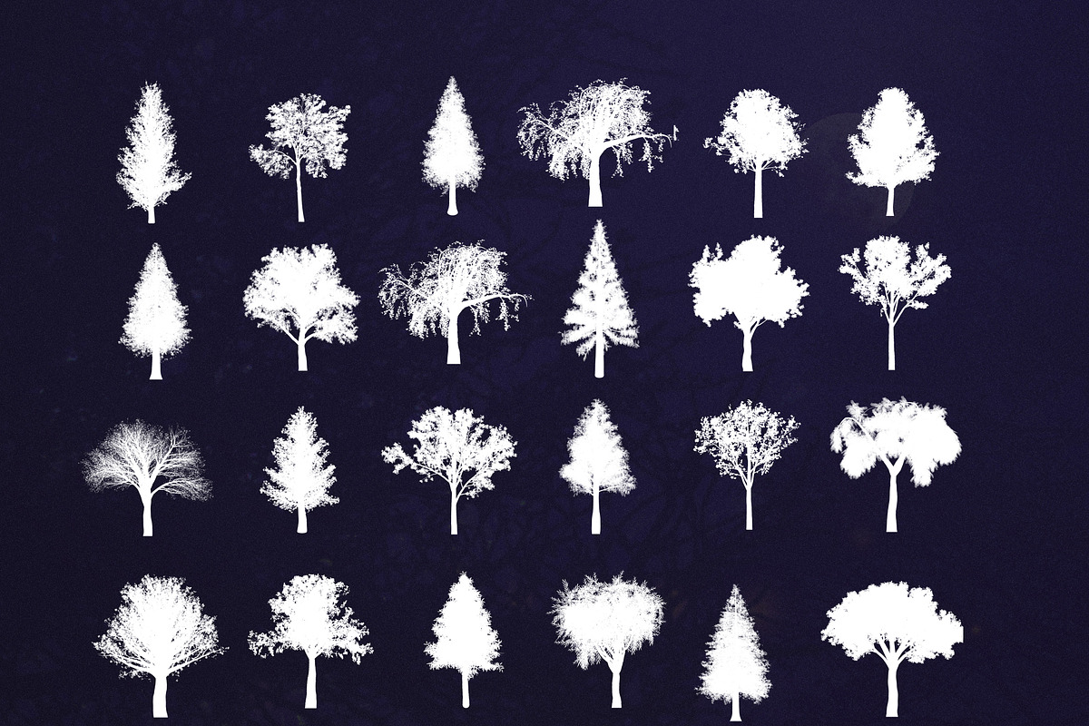 89 Procreate tree stamps brushes, a Brush Add-On by Endete & Mazak brushes (Photo 4 of 5)