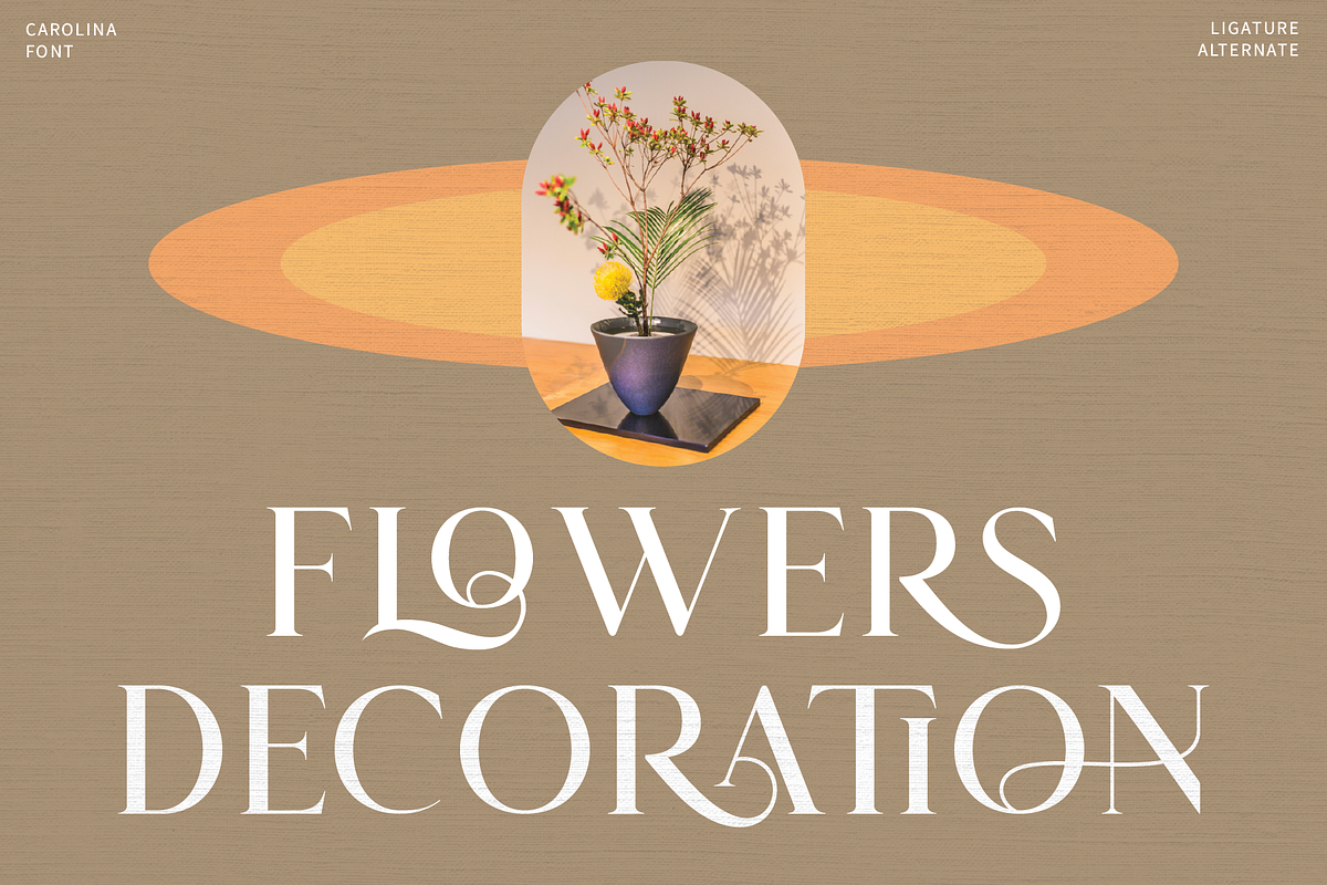 Carolina || Modern Serif  Font, a Serif Font by Idea Studio (Photo 3 of 12)