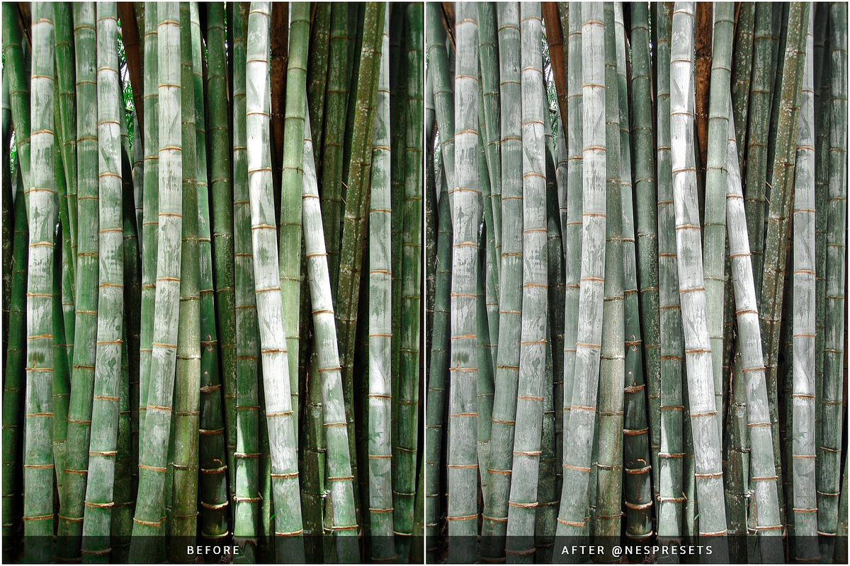 ORGANIC CERAMIC LIGHTROOM PRESETS, a Preset Add-On by Nes Design Co (Photo 9 of 10)