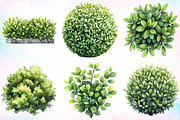 Watercolor Bushes Clipart Bundle, an Illustration by Canvas Craft (Thumbnail 3 of 5)