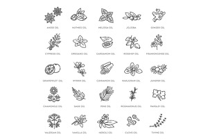 Natural ingredients and oils, an Illustration by Tettygreen