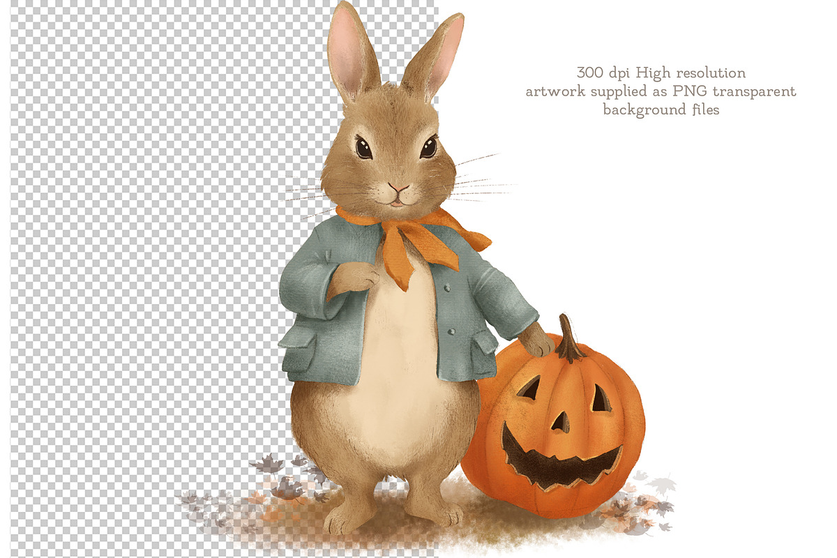 Autumn Peter Rabbit Card&Clipart