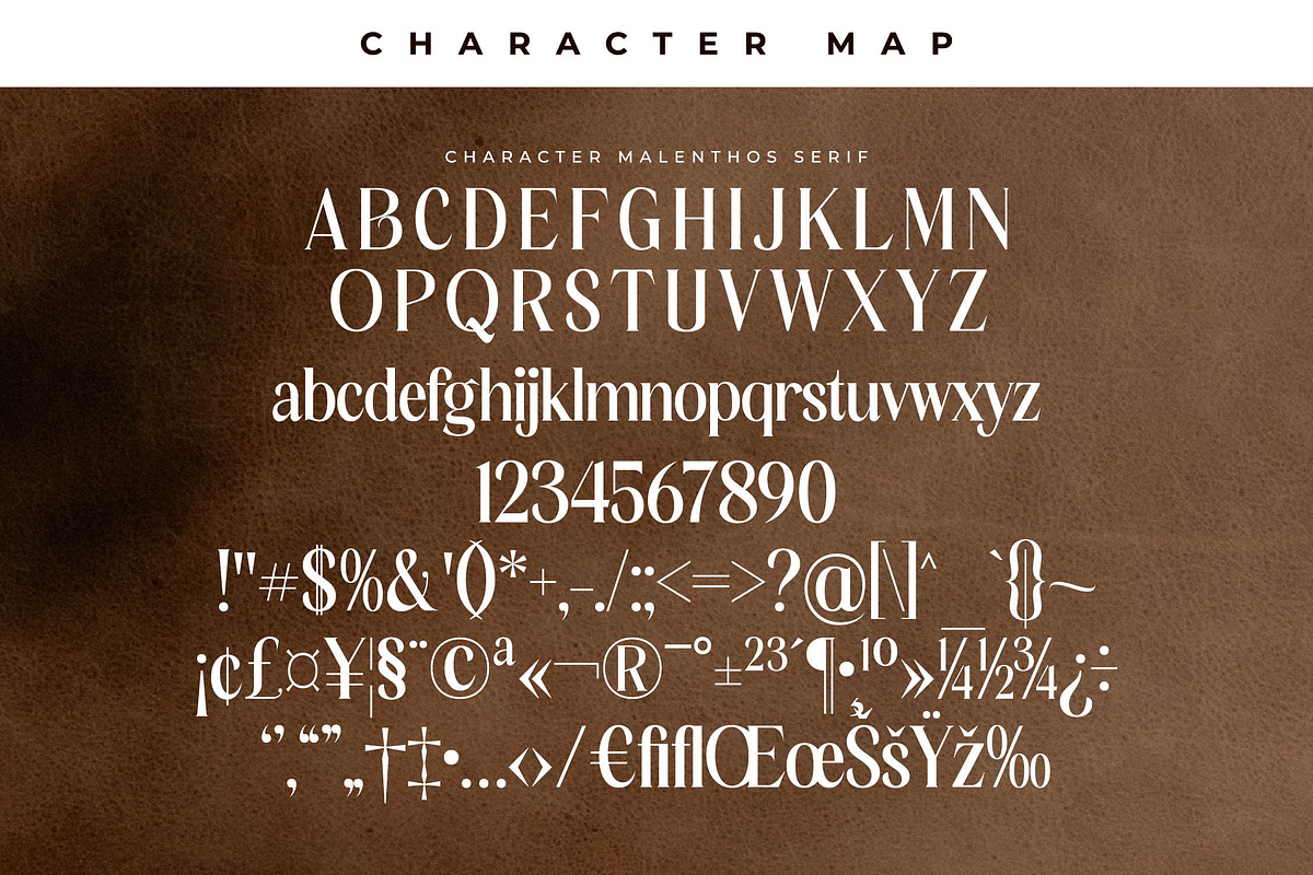 Malenthos Modern Font Duo, a Serif Font by Storytype Studio (Photo 11 of 15)