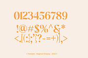 Young Modern Serif Font, a Serif Font by Luna Shop (Thumbnail 6 of 8)