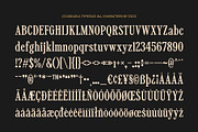 CS Miguela – Classic Font, a Serif Font by Craft Supply Co. (Thumbnail 8 of 8)