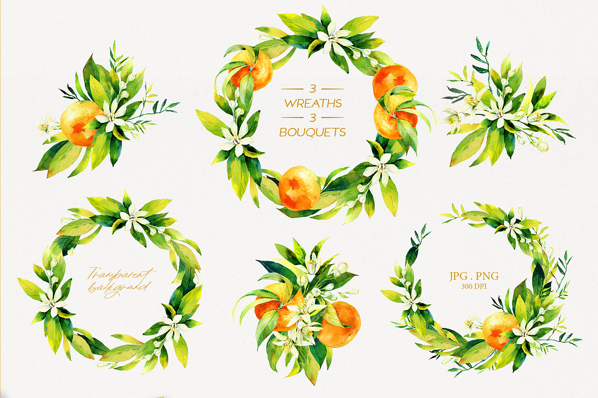Tangerine Watercolor Collection, a Wallpaper Graphic by Natasha Koltsova (Photo 5 of 7)