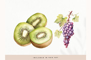 Watercolor Fruit Clipart, Fresh PNG, a Decorative Illustration by illuztrate (Thumbnail 11 of 13)