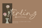 Sterling Script, a Script Font by ALIVECREATIVE (Thumbnail 1 of 6)