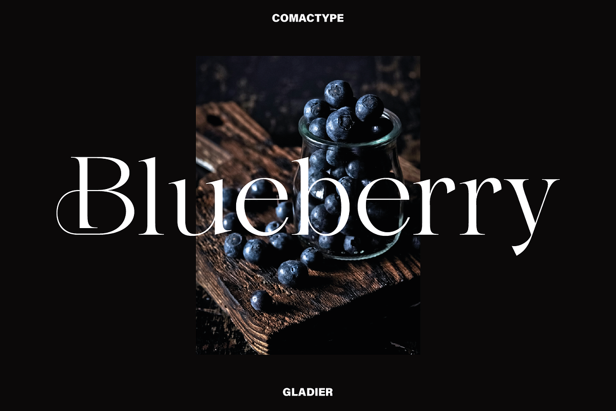 Gladier - A Modern Serif Font, a Serif Font by Comactype Foundry (Photo 8 of 22)