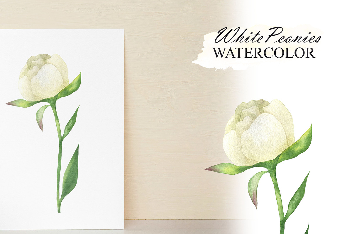 White peonies watercolor clipart, an Illustration by OlDm_Shop (Photo 9 of 10)