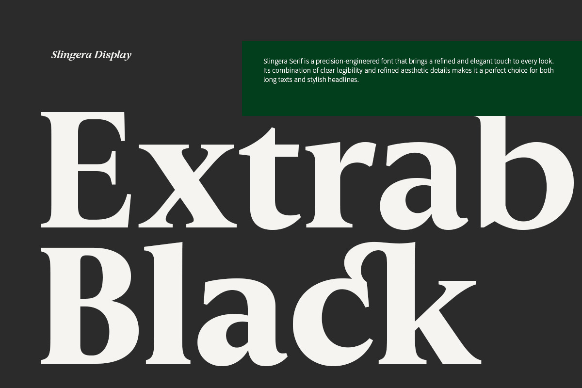 Slingera - Display Serif, a Serif Font by Attract Studio (Photo 4 of 17)