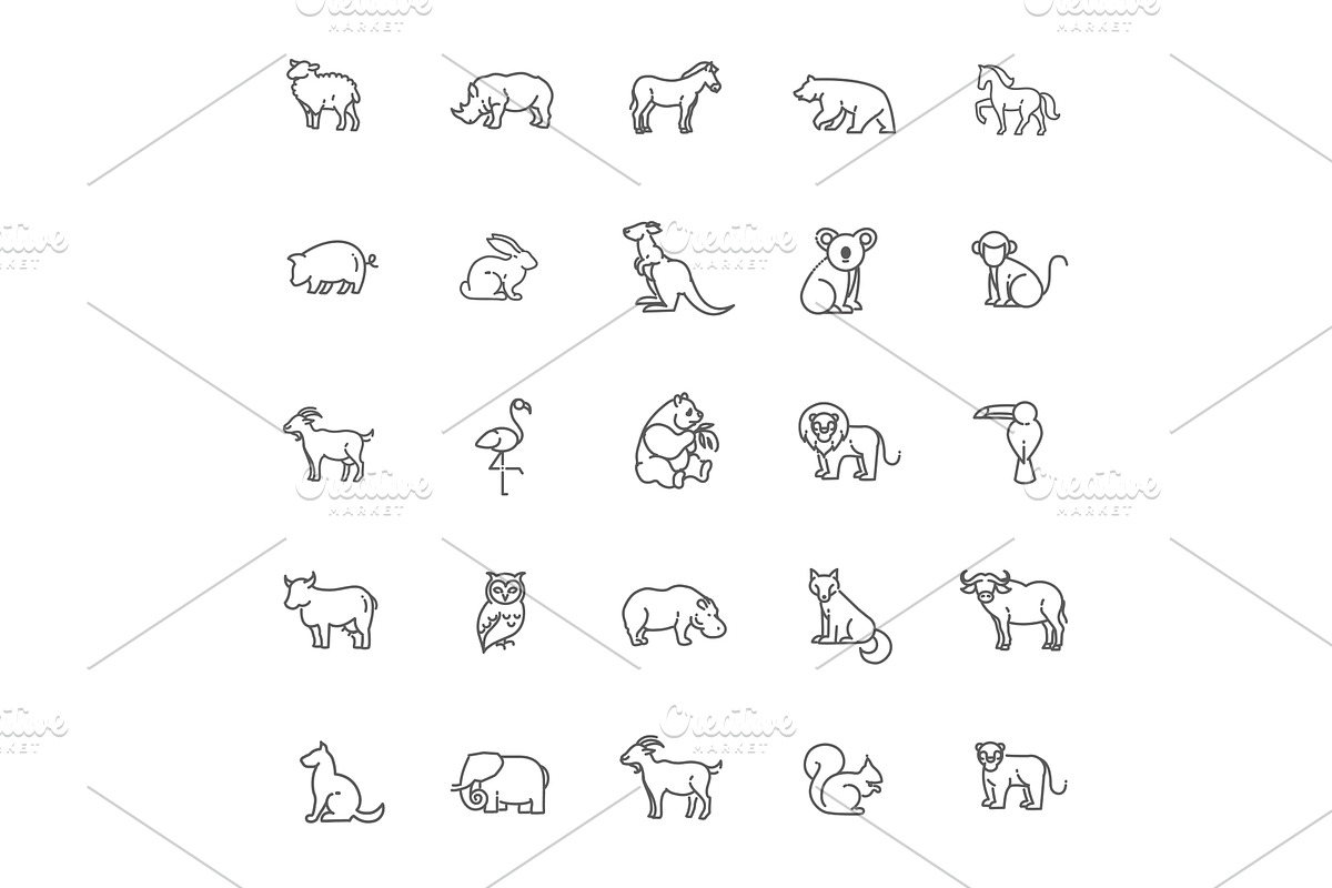 Animal icons. Zoo line icons, an Animal Illustration by Tettygreen