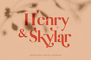 Vicky Christina Ligature Serif Font, a Serif Font by SilverStag Type Foundry (Thumbnail 7 of 25)