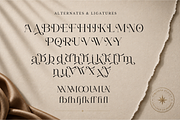 Aulane – Sculptural Editorial Serif, a Serif Font by Ghuroba Studio (Thumbnail 10 of 11)