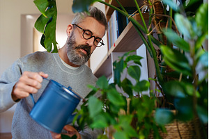 Bearded man caring for indoor plants, a Person Photo by HalfPoint