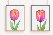 Watercolor Tulip Clipart, an Illustration by Libby Wishes (Thumbnail 5 of 6)