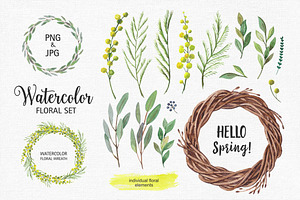 Set of watercolor mimosa flower
