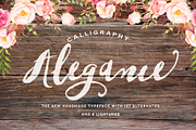Alegance Typeface, a Script Font by Graphic Box (Thumbnail 1 of 6)