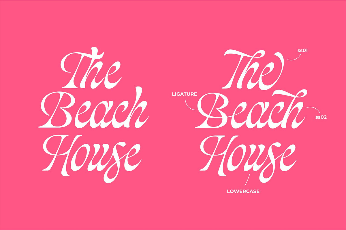 Blackshiny, a Script Font by ManType (Photo 2 of 7)