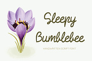 Sleepy Bumblebee, a Script Font by Jelena Sardi (Thumbnail 1 of 4)