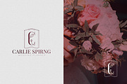 [Spring Vibes] A-Z logo designs -50%, a Branding & Logo Template by VP Fonts (Thumbnail 4 of 29)