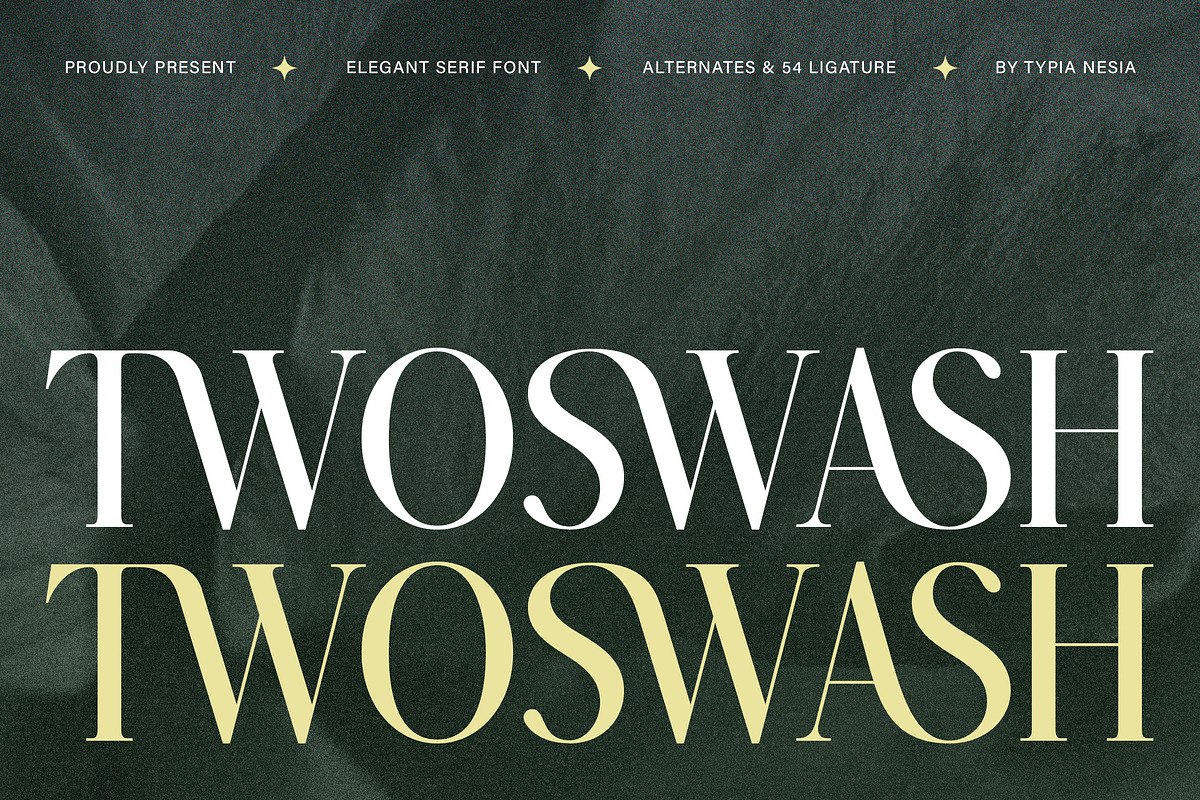 Twoswash - Beauty Elegant Serif, a Serif Font by Typia Nesia (Photo 1 of 11)