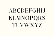 Brigton Newport Serif Font, a Serif Font by UICreative (Thumbnail 7 of 13)