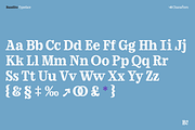 Bandito - Rounded Variable Serif, a Serif Font by Unio Designs (Thumbnail 6 of 15)