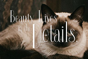 Qavirats - Tall Refined Luxury, a Serif Font by HypeWorksCo (Thumbnail 13 of 20)