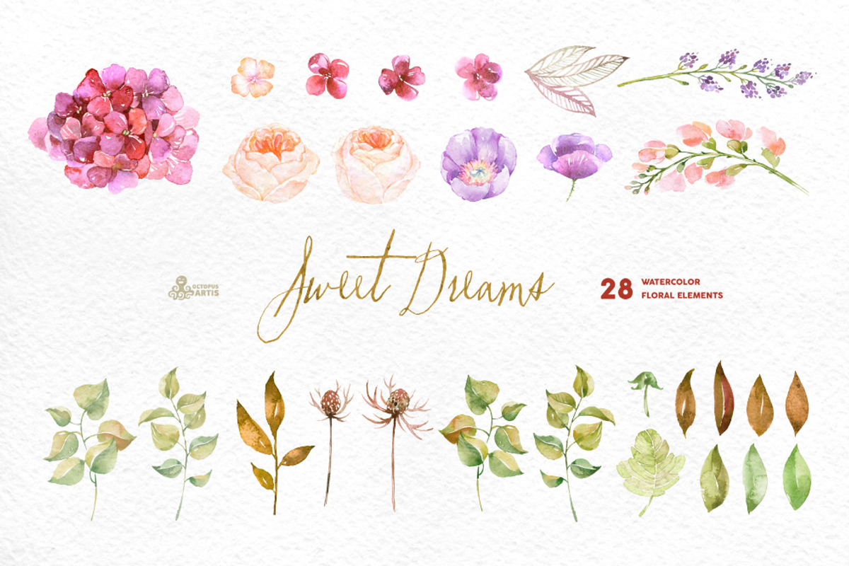 Sweet Dreams. Floral Collection, an Illustration by OctopusArtis (Photo 3 of 4)