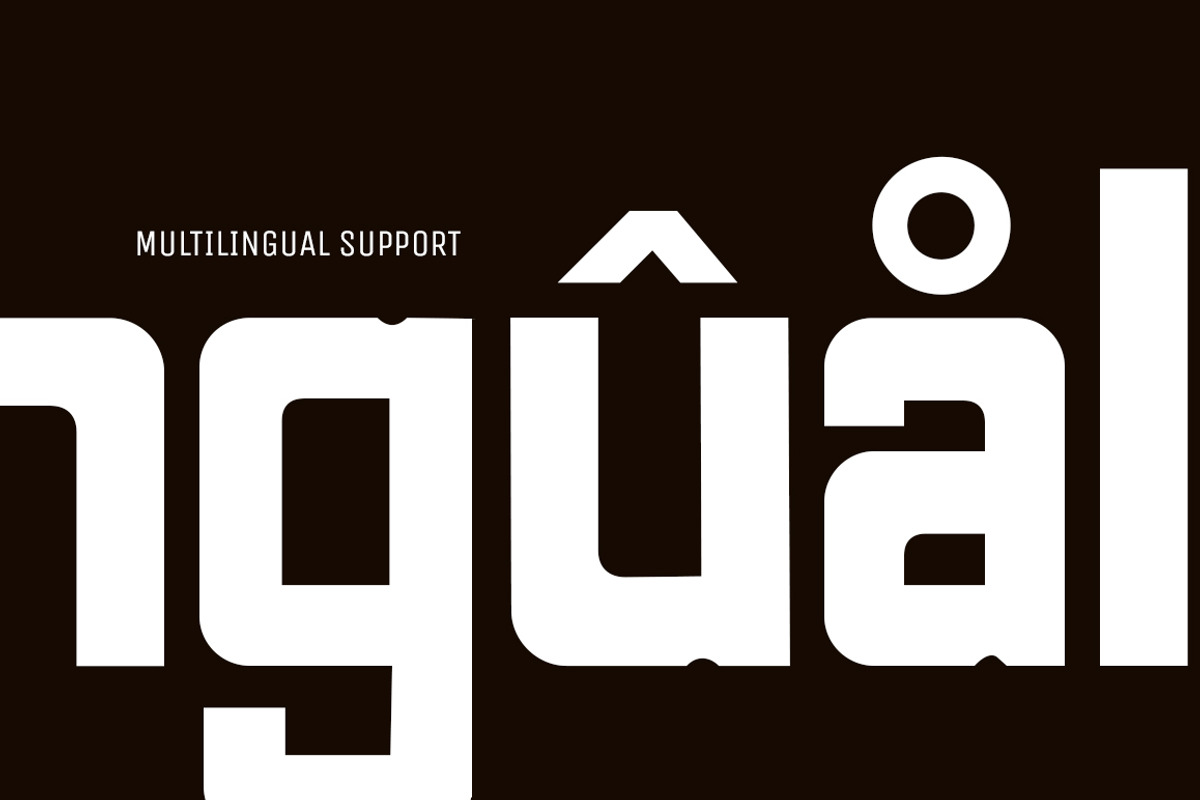 Arigaline Complete Family, a Sans Serif Font by Zone 6 (Photo 14 of 14)