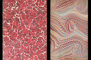 Antique Endpaper Textures, a Texture Graphic by Blue Line Design (Thumbnail 17 of 21)