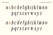 Voracity - Serif Display Font, a Serif Font by Brainwaves.Studio (Thumbnail 4 of 9)