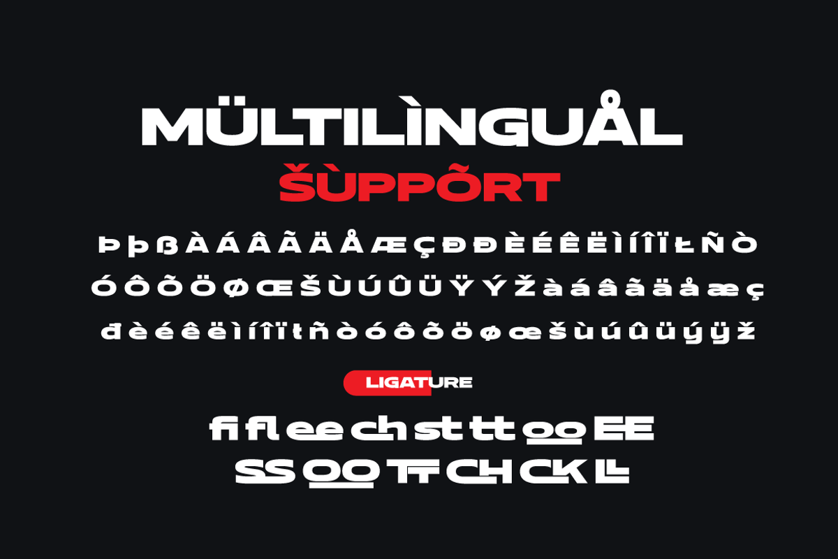 REDOB – Sport Racing Font, a Font by productype1 (Photo 9 of 12)
