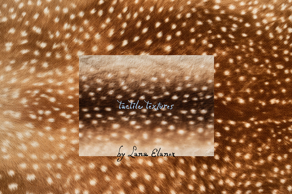 Tactile Textures: Deer, Plaid, Paper, a Texture Graphic by Lana Elanor (Photo 2 of 12)